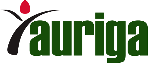 Auriga Nusantara